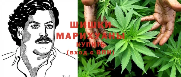 хмурый Лагань
